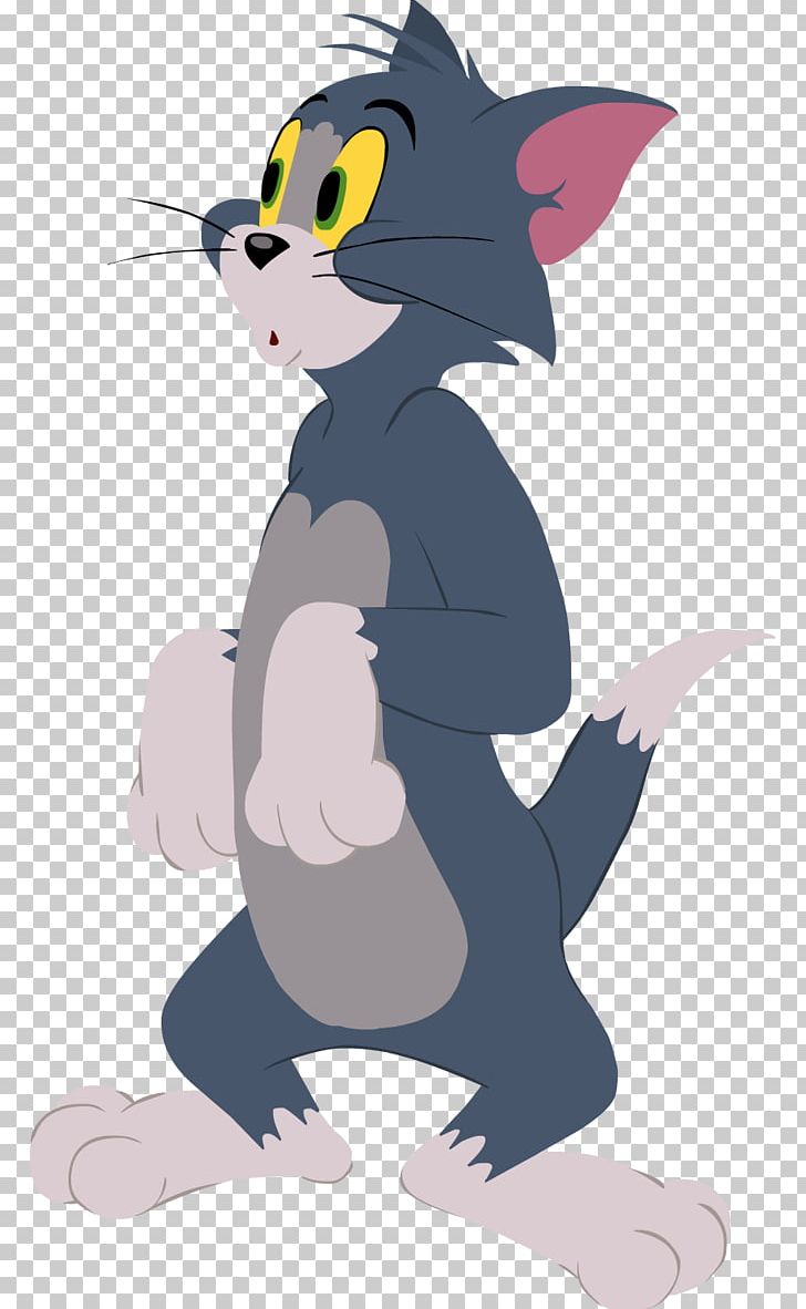 Tom Cat Jerry Mouse Nibbles Butch Cat Tom And Jerry PNG, Clipart, Carnivoran, Cartoon, Cat, Cat Like Mammal, Character Free PNG Download