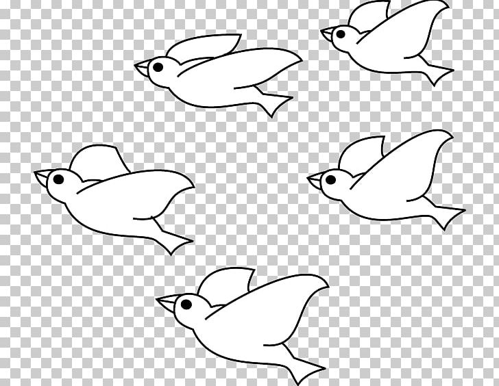 Bird Drawing Line Art PNG, Clipart, Angle, Animal, Animals, Area, Art Free PNG Download