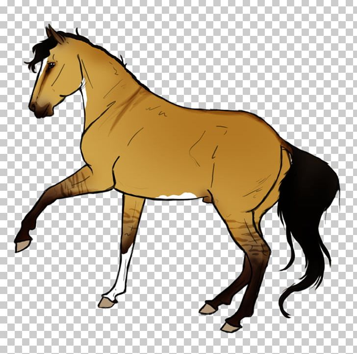 Mule Mustang Foal Stallion Mare PNG, Clipart, Animal Figure, Apache Lucenenet, Bridle, Colt, English Riding Free PNG Download