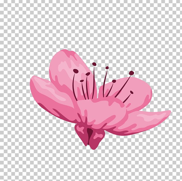 Petal Illustration PNG, Clipart, Adobe Illustrator, Artworks, Beautiful, Bloom, Blooming Vector Free PNG Download