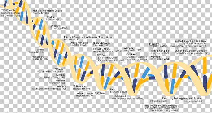 Brand Organization PNG, Clipart, Area, Art, Brand, Diagram, History Of Genetics Free PNG Download