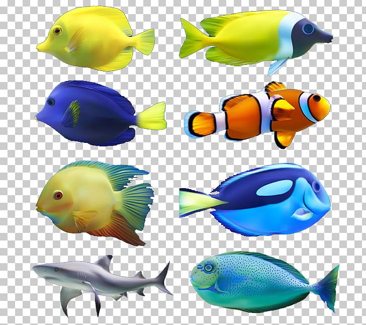 Euclidean Fish Computer File PNG, Clipart, Adobe Illustrator, Aquatic, Aquatic Creatures, Beak, Coral Reef Fish Free PNG Download