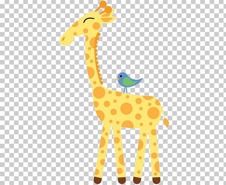 Giraffe Cuteness Mammal Animal Infant PNG, Clipart, Animal, Animal Figure, Animals, Bing, Cuteness Free PNG Download
