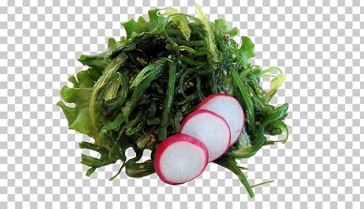 Kelp Edible Seaweed Wakame Algae PNG, Clipart, Algae, Brown Algae, Der, Dietary Supplement, Dish Free PNG Download