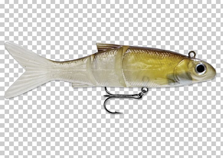 Plug Northern Pike Fishing Baits & Lures Angling Spin Fishing PNG, Clipart, Angling, Asp, Bait, Bivouac Shelter, Common Roach Free PNG Download