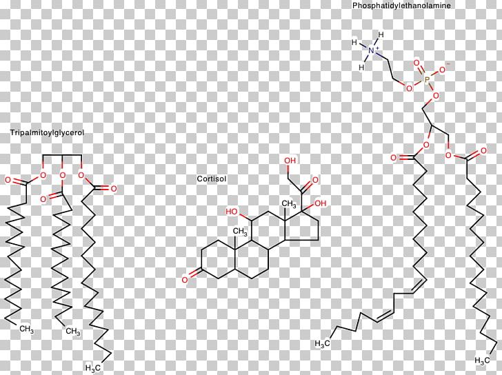 Van Der Waals Force Phospholipid Membrane Curvature Van Der Waals Equation PNG, Clipart, Acyl Group, Angle, Area, Cell Signaling, Chemical Polarity Free PNG Download