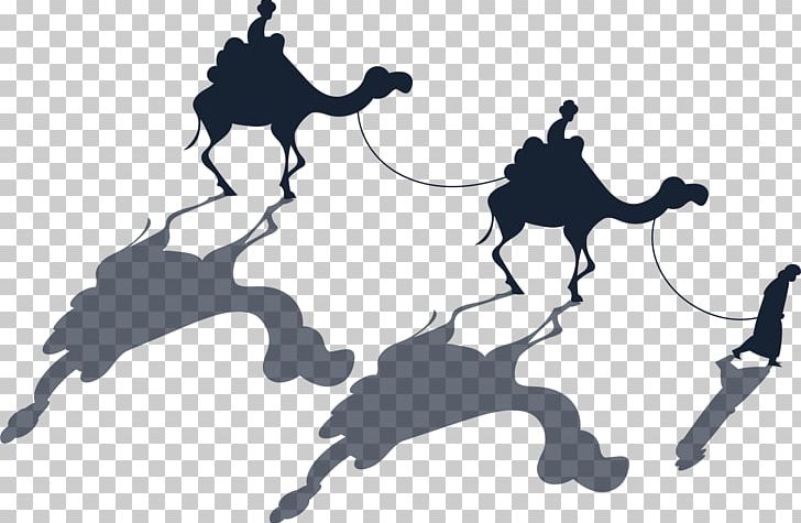 Camel Gratis PNG, Clipart, Animals, Background Black, Black, Black And White, Black Background Free PNG Download