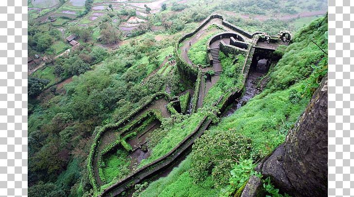 Lohagad Lonavla Visapur Fort Rajmachi Sinhagad PNG, Clipart, Biome, Chhatrapati Shivaji Maharaj, Escarpment, Forest, Fortification Free PNG Download
