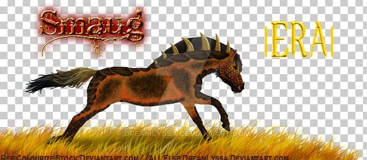 Mustang Stallion Colt Bridle Pack Animal PNG, Clipart, Bridle, Colt, Fauna, Grass, Halter Free PNG Download
