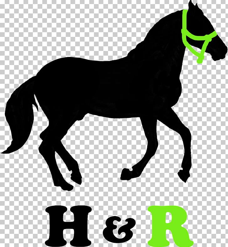 Mustang Stallion Pony American Paint Horse Equestrian PNG, Clipart, Animal Figure, Black And White, Colt, Fictional Character, Grass Free PNG Download