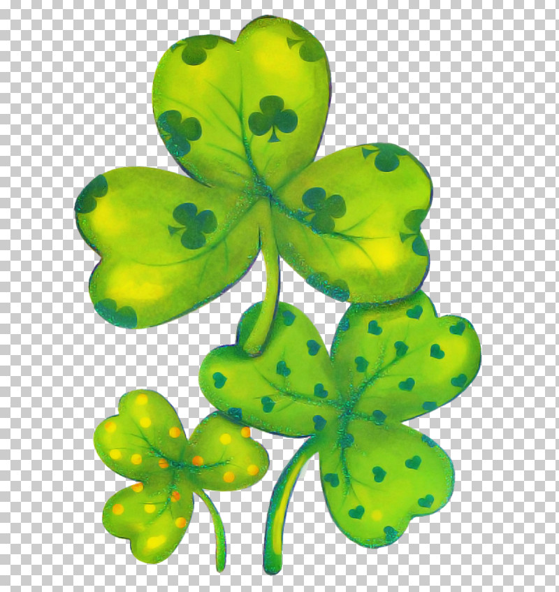 Shamrock PNG, Clipart, Clover, Flower, Green, Leaf, Petal Free PNG Download