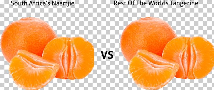 Clementine Tangerine South Africa Satsuma Mandarin Fruit PNG, Clipart, Africa, Clementine, Diet Food, Food, Fruit Free PNG Download