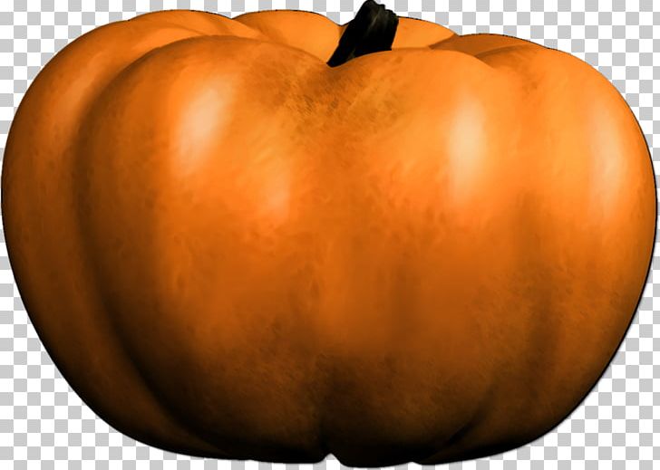 Jack-o'-lantern Pumpkin Winter Squash PNG, Clipart, Apple, Calabaza, Cucurbita, Digital Image, Food Free PNG Download
