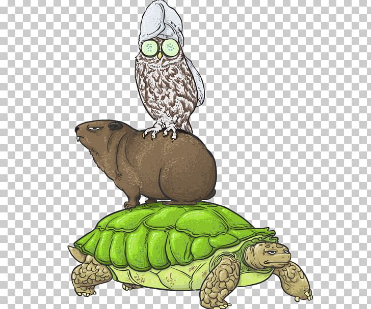 Box Turtles True Frog Tortoise Sea Turtle PNG, Clipart, Animal, Animals, Box Turtle, Box Turtles, Cartoon Free PNG Download