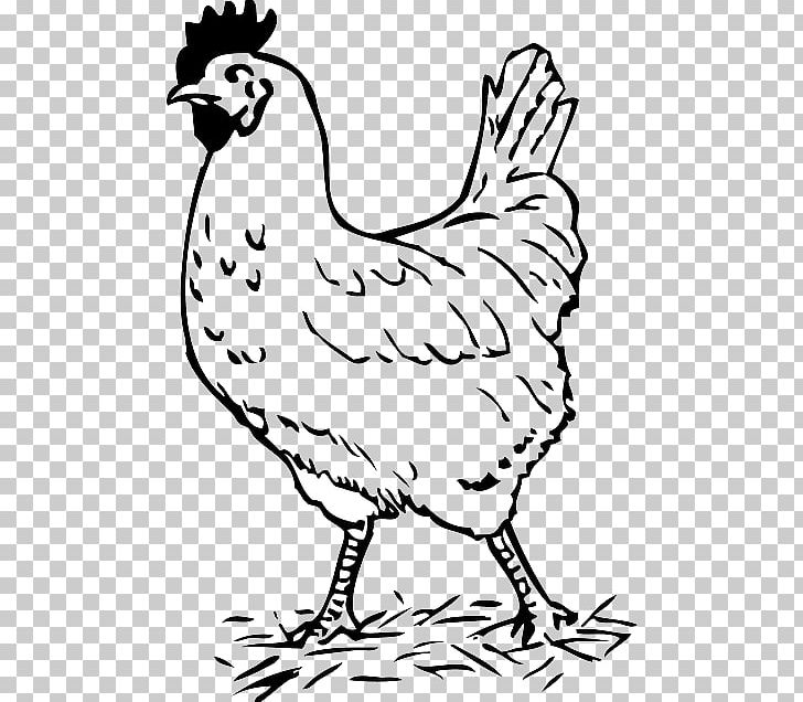 Chicken Rooster Drawing PNG, Clipart, Animal Figure, Animals, Art, Artwork, Beak Free PNG Download