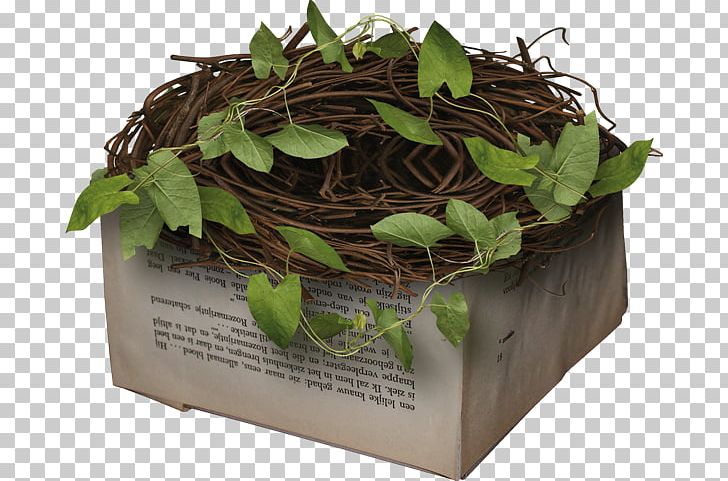 Easter PNG, Clipart, Bird Nest, Download, Easter, Email, Encapsulated Postscript Free PNG Download
