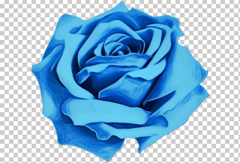 Blue Rose PNG, Clipart, Blue, Blue Rose, Cut Flowers, Flower, Garden Free PNG Download