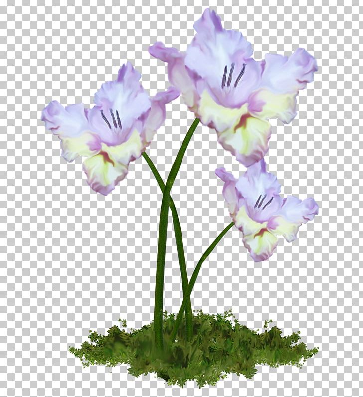 Cut Flowers Flower Bouquet Tulip PNG, Clipart, Cut Flowers, Floral Design, Flower, Flower Bouquet, Flower Clipart Free PNG Download