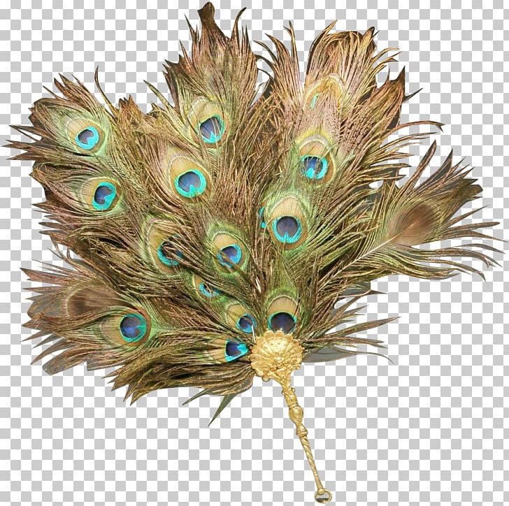Feather PNG, Clipart, Animals, Feather, Peacock Feather Free PNG Download