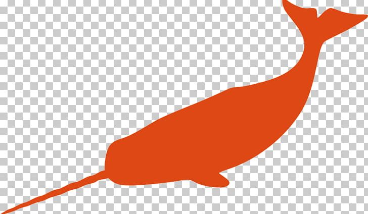 Narwhal Drawing PNG, Clipart, Animals, Art, Beak, Beluga Whale, Bird Free PNG Download