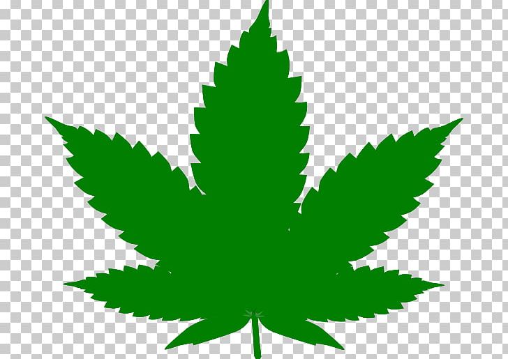 Cannabis Sativa Leaf Hashish PNG, Clipart, Cannabis, Cannabis Sativa, Grass, Green, Green Leaf Free PNG Download