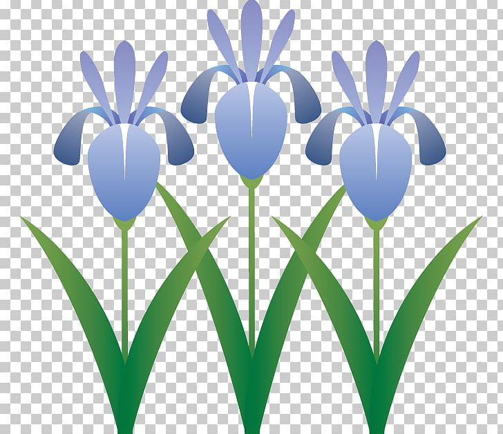 Illustration Japanese Iris Flower PNG, Clipart, Computer, Computer Wallpaper, Desktop Wallpaper, Flower, Flowering Plant Free PNG Download