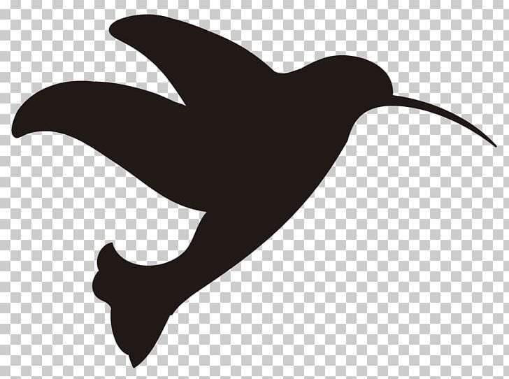 Trinity Blog PNG, Clipart, Beak, Bird, Black And White, Blog, Dolphin Free PNG Download