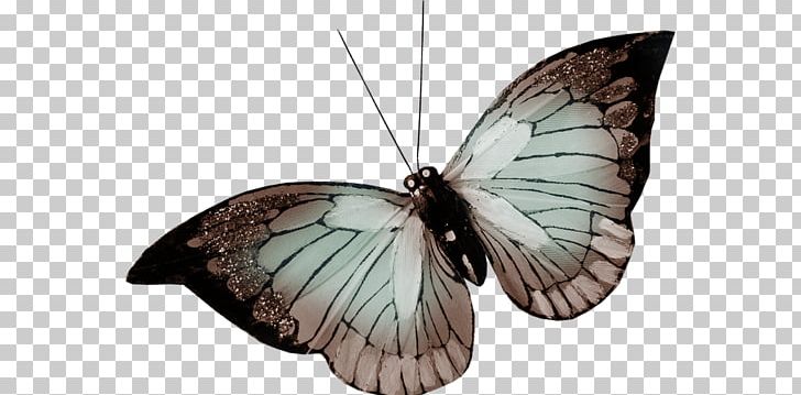 Nymphalidae Butterfly Pieridae Moth PNG, Clipart, Arthropod, Brush Footed Butterfly, Butterfly, Deco, Download Free PNG Download