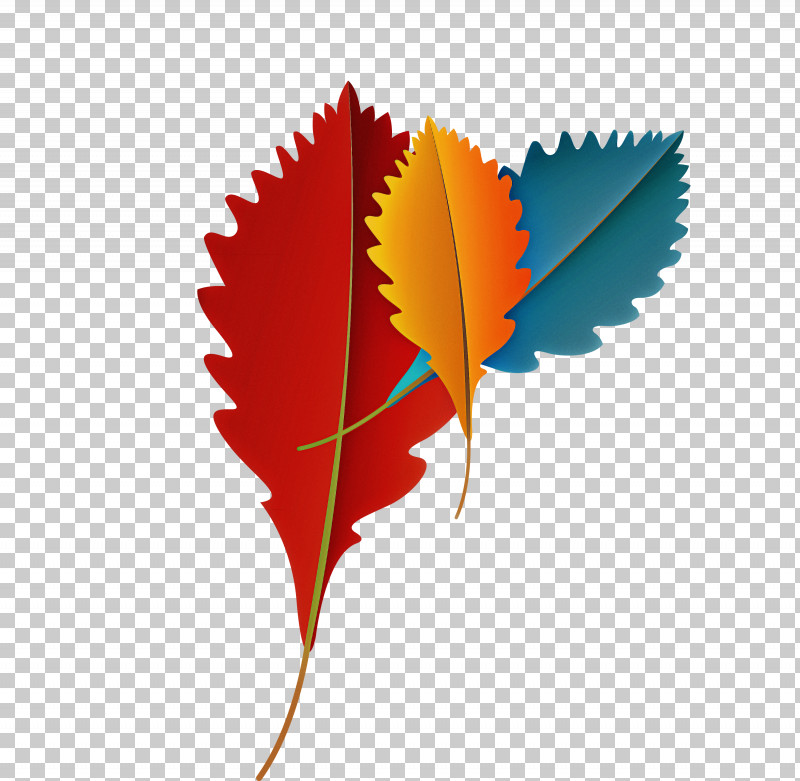 Maple Leaf PNG, Clipart, Autumn Leaf, Biology, Branch, Cartoon Leaf, Fall Leaf Free PNG Download