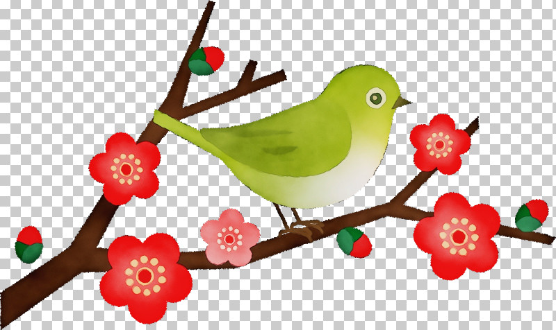 Beak Flower Fruit PNG, Clipart, Beak, Flower, Fruit, Paint, Watercolor Free PNG Download