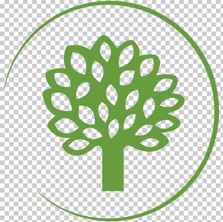 3 Romashki Tree Autograph Foliages Appliqué PNG, Clipart, Applique, Area, Artikel, Autograph Foliages, Bed Free PNG Download