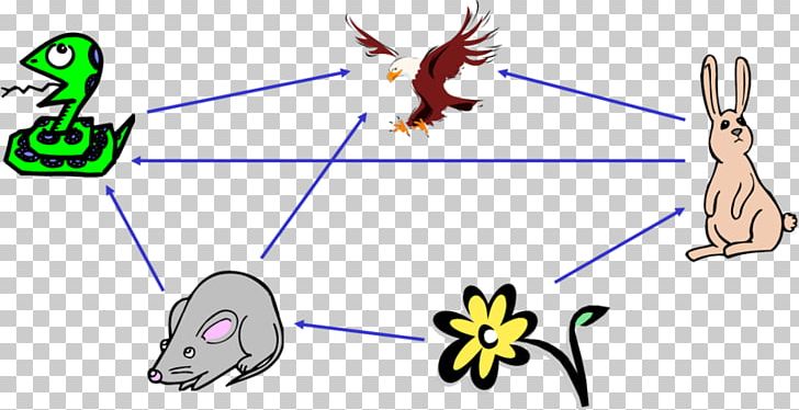 Food Chain Food Web Ecology Ecosystem Nutrient PNG, Clipart, Angle, Area, Art, Cartoon, Chain Free PNG Download