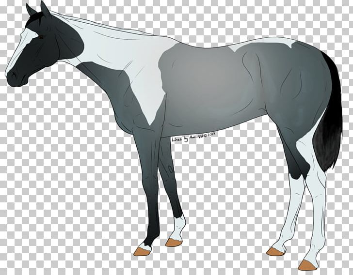 Mustang Stallion Foal Colt Mare PNG, Clipart, Bridle, Colt, Dog Harness, Foal, Halter Free PNG Download