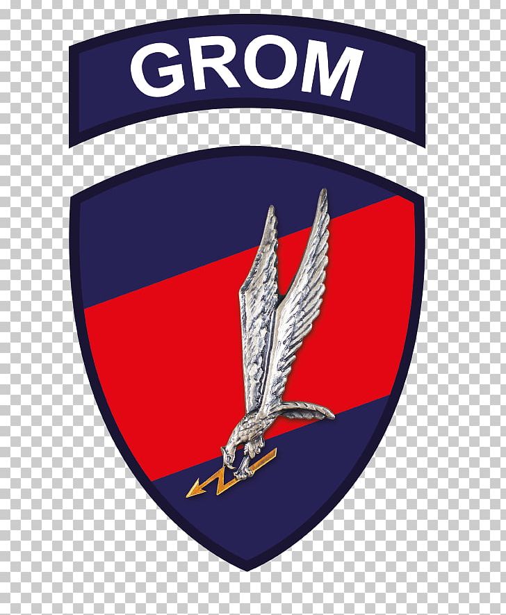 Poland JW GROM Polish Special Forces Polish Armed Forces PNG, Clipart, Badge, Brand, Delta Force, Emblem, Frogman Free PNG Download