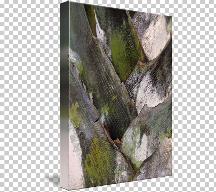 Wood /m/083vt Leaf PNG, Clipart, Grass, Leaf, M083vt, Plant, Rock Free PNG Download