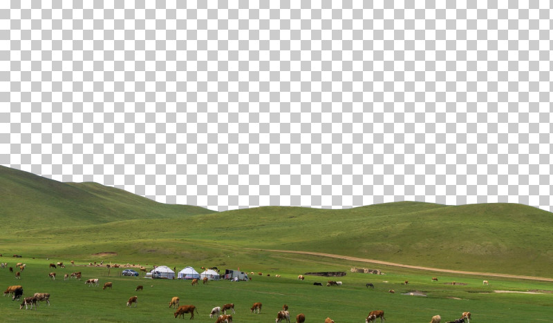 Steppe Grassland Ecoregion Hill Station Polder PNG, Clipart, Ecoregion, Grassland, Hill Station, Polder, Ranchm Free PNG Download