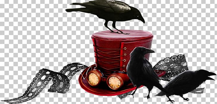 Halloween PNG, Clipart, Animals, Beak, Boszorkxe1ny, Crow, Download Free PNG Download