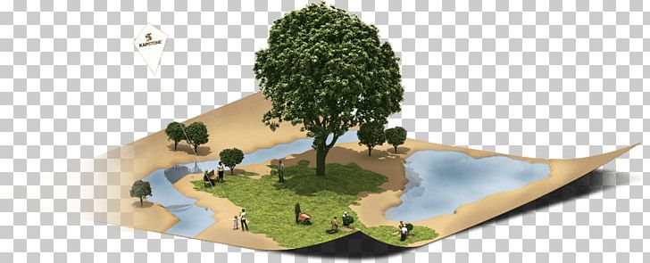 Paper Kapstone Sustainable Forest Management Forestry Sustainability PNG, Clipart, Company, Containerboard, Corrugated Fiberboard, Forestry, Kapstone Free PNG Download