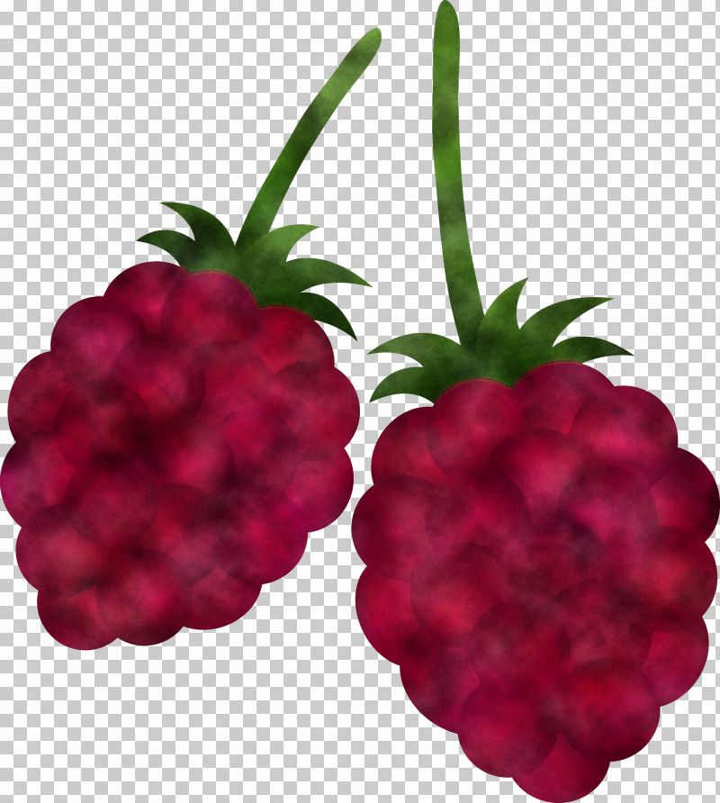 Pineapple PNG, Clipart, Accessory Fruit, Alpine Strawberry, Berry, Blackberry, Food Free PNG Download