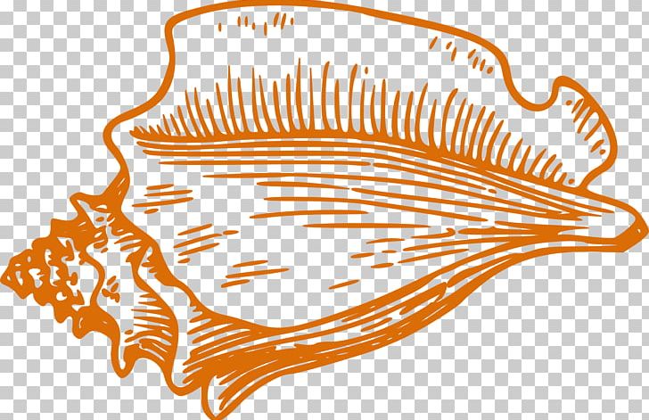 Conch Seashell Drawing PNG, Clipart, Animal, Art, Clip Art, Conch, Drawing Free PNG Download