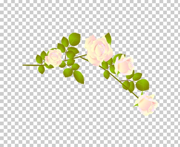 Flower Petal PNG, Clipart, Blossom, Branch, Computer Icons, Cut Flowers, Download Free PNG Download