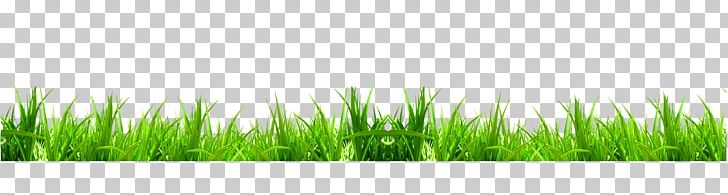 Green Weed Icon PNG, Clipart, Background Green, Black, Cartoon, Computer, Computer Wallpaper Free PNG Download