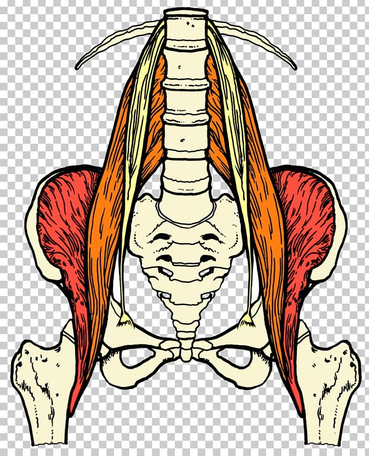 Sciatica Sciatic Nerve Lumbar Muscle Back Pain PNG, Clipart, Abdomen, Arm, Art, Artwork, Back Pain Free PNG Download