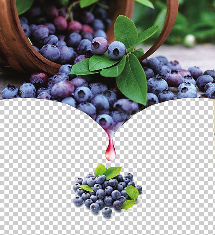 Blueberry Bilberry Fruit Antioxidant PNG, Clipart, Advertisement Poster, Agriculture, Antioxidant, Auglis, Berry Free PNG Download