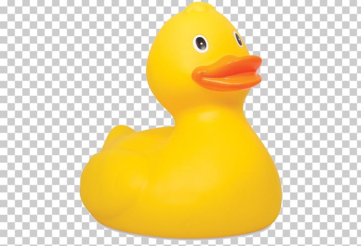 Rubber Duck Natural Rubber Toy PNG, Clipart, Bathing, Beak, Bird, Clip Art, Duck Free PNG Download