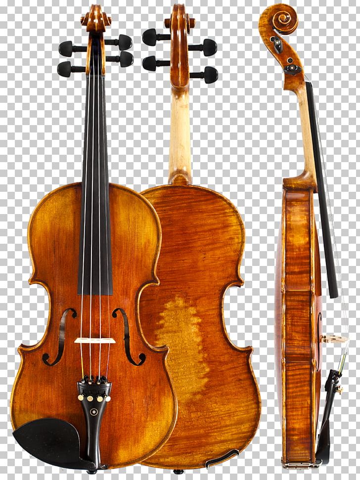 Amati Violin Musical Instruments String Instruments Stradivarius PNG, Clipart, Amati, Antonio Stradivari, Banjo, Bass Guitar, Bass Violin Free PNG Download