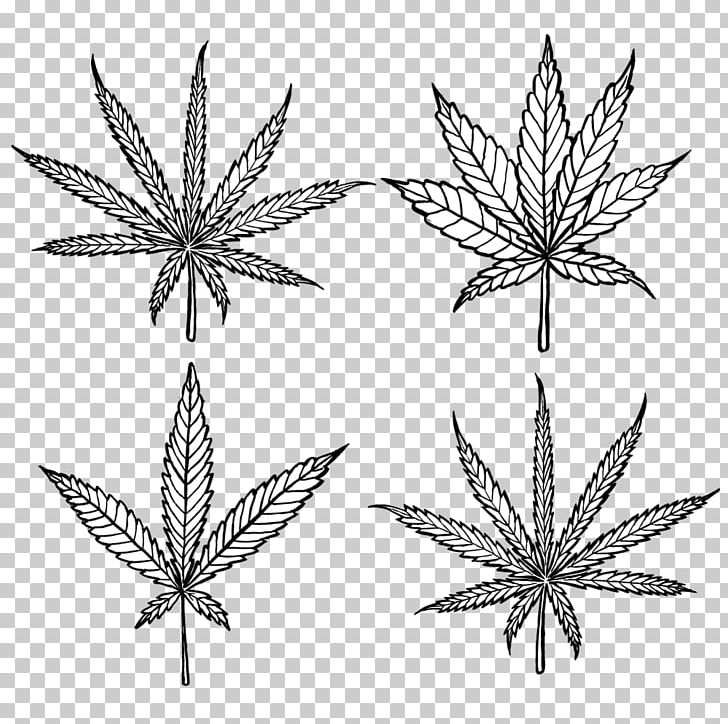 Cannabis Sativa Marijuana Medical Cannabis Cannabidiol PNG, Clipart, Black And White, Cannabinoid, Cannabis, Cannabis Ruderalis, Cannabis Sativa Free PNG Download