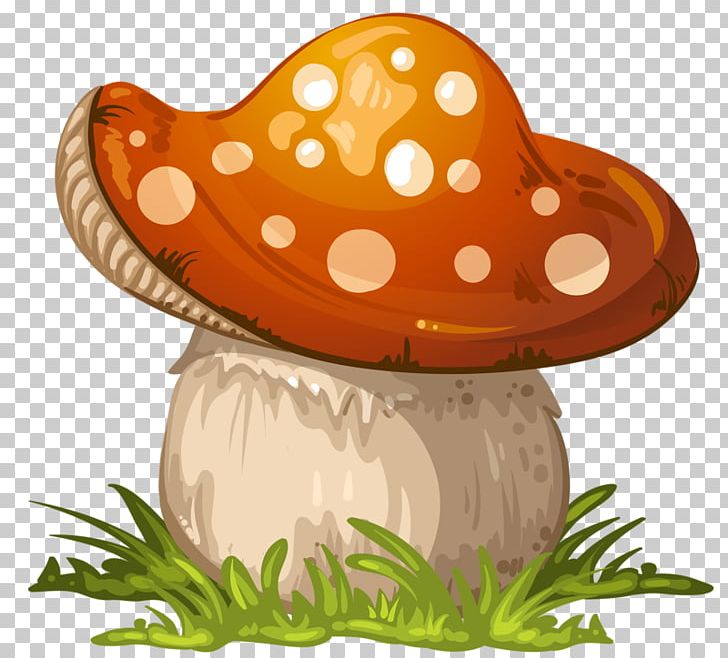 Fungus Mushroom PNG, Clipart, Amanita, Boletus Edulis, Chanterelle, Cowboy Hat, Drawing Free PNG Download