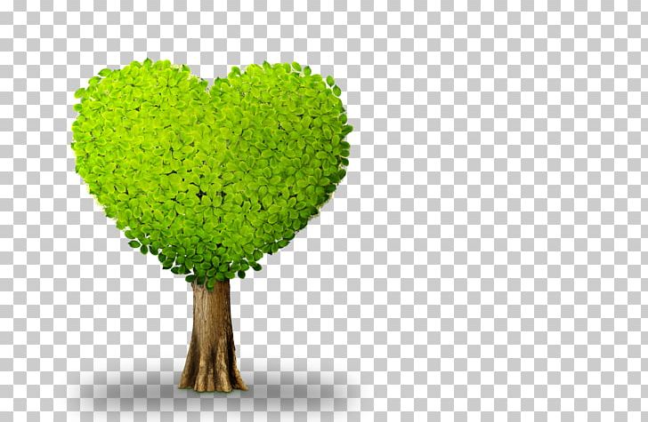 Plant Tree Heart PNG, Clipart, Computer Wallpaper, Decorative Patterns, Desktop Wallpaper, Flowerpot, Font Free PNG Download
