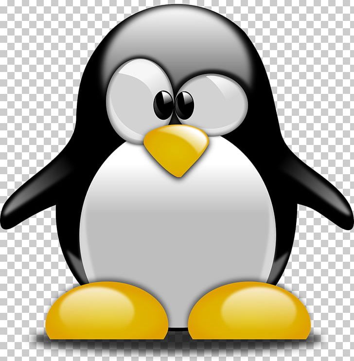 Tux Racer Penguin Linux PNG, Clipart, Beak, Bird, Clip Art, Download, Flightless Bird Free PNG Download